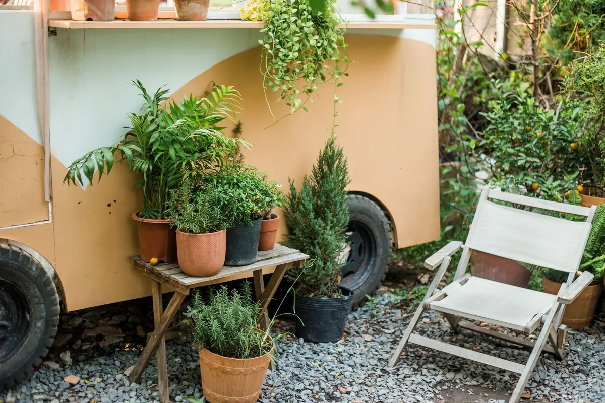 Small Garden Privacy Ideas for Terraced Houses